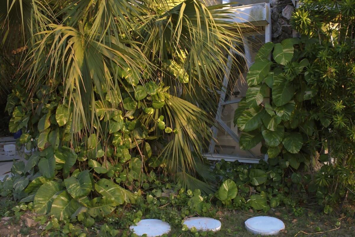 Turtle Towers *