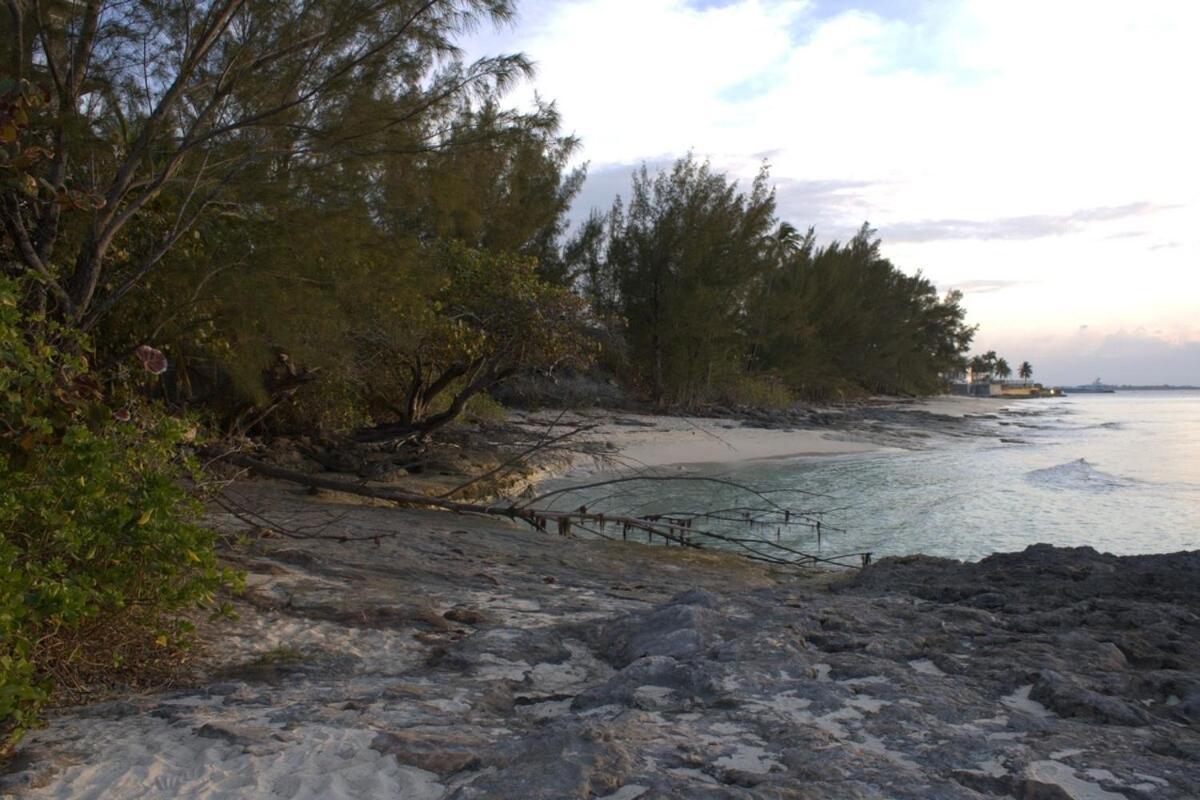 Villa Turtle Towers Nassau